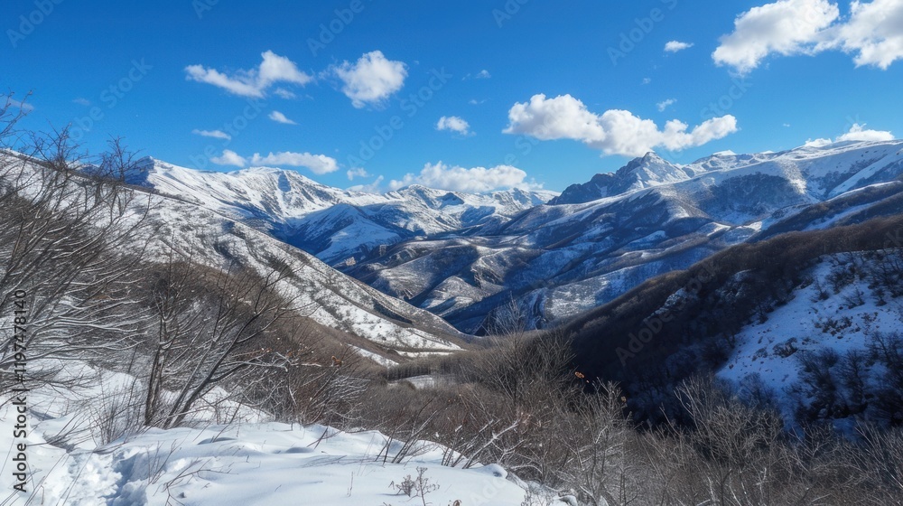 Fototapeta premium Snowy mountain valley panorama, winter landscape, scenic view, travel poster