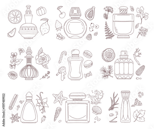 Vector set of sketch of luxury perfumes with vintage bottles sweet, woody and marine scents