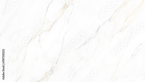 Marble granite white panorama background wall surface black pattern graphic abstract light elegant, Marble luxury realistic gold background. Stone veneer, marbling texture design for banner, 