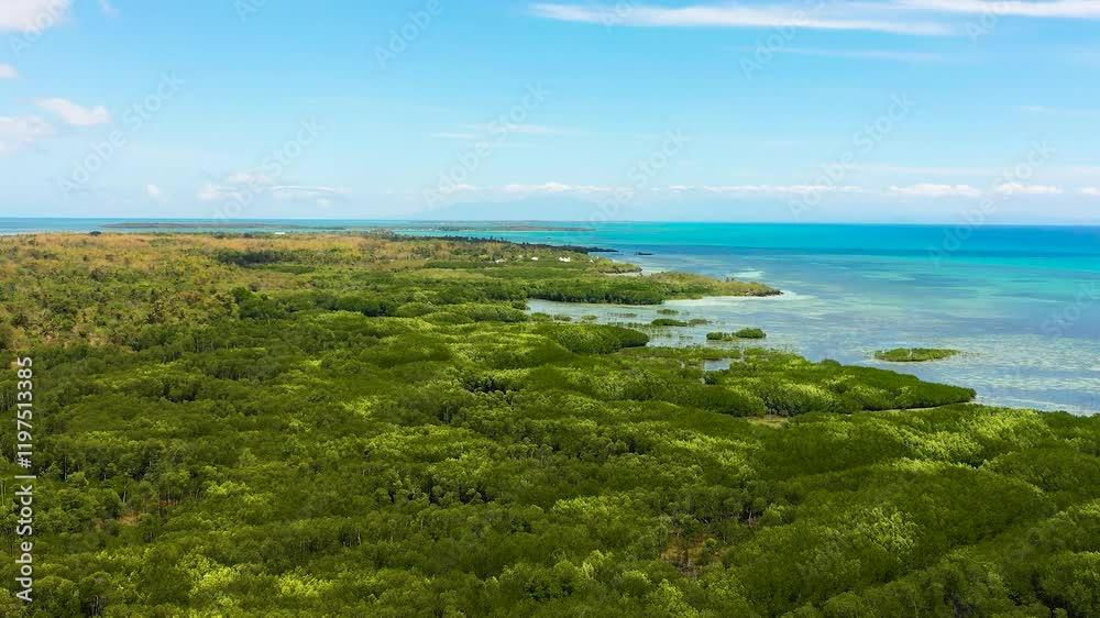 Flying over the green forest in Bantayan Island. Mangroves and corals in Santa Fe, Cebu, Philippines.