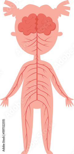Simplified illustration depicting the nervous system connecting the brain to the rest of the body in a female child, serving as educational material for biology lessons and understanding anatomy