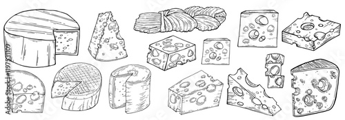 Cheese set. Ink doodle sketch isolated on white background. Hand drawn vector illustration. Vintage style stroke drawing. Vector illustration