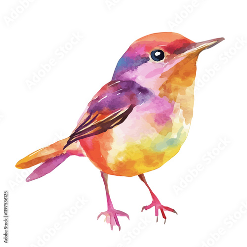 A watercolor vector of a wren, isolated on a white background. Bird vector.
