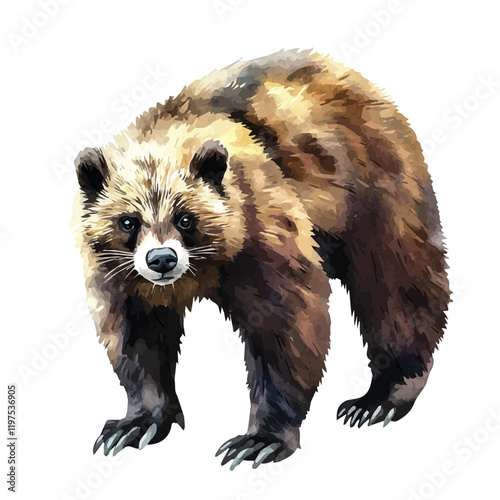 A watercolor painting of a wolverine, isolated on a white background. Animal vector.
