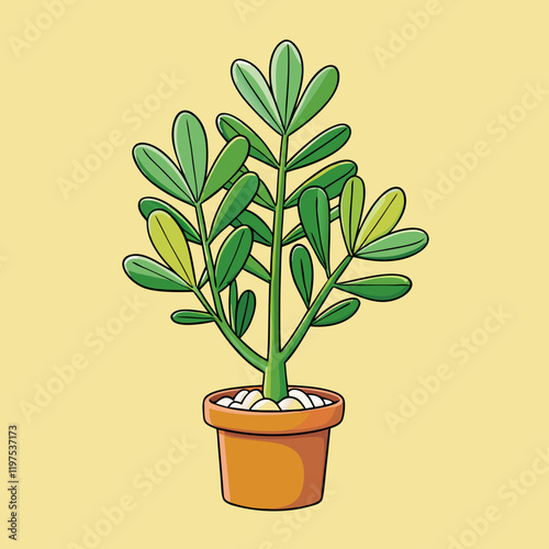 euphorbia plant in pot