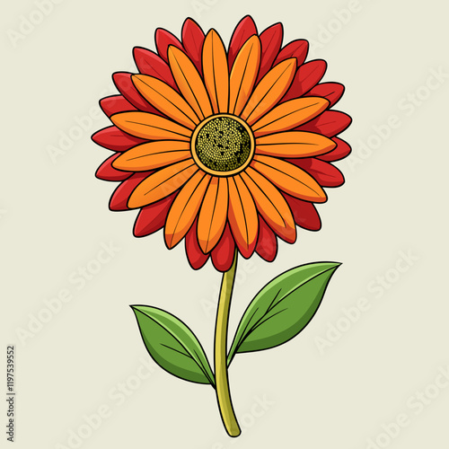 gaillardia  flower vector