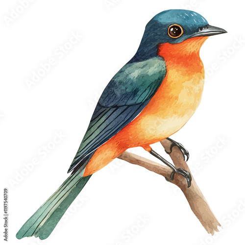 A watercolor clipart of a trogon, isolated on a white background. Bird vector.
