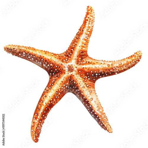 A watercolor painting of a Starfish, isolated on a white background. Starfish vector.

