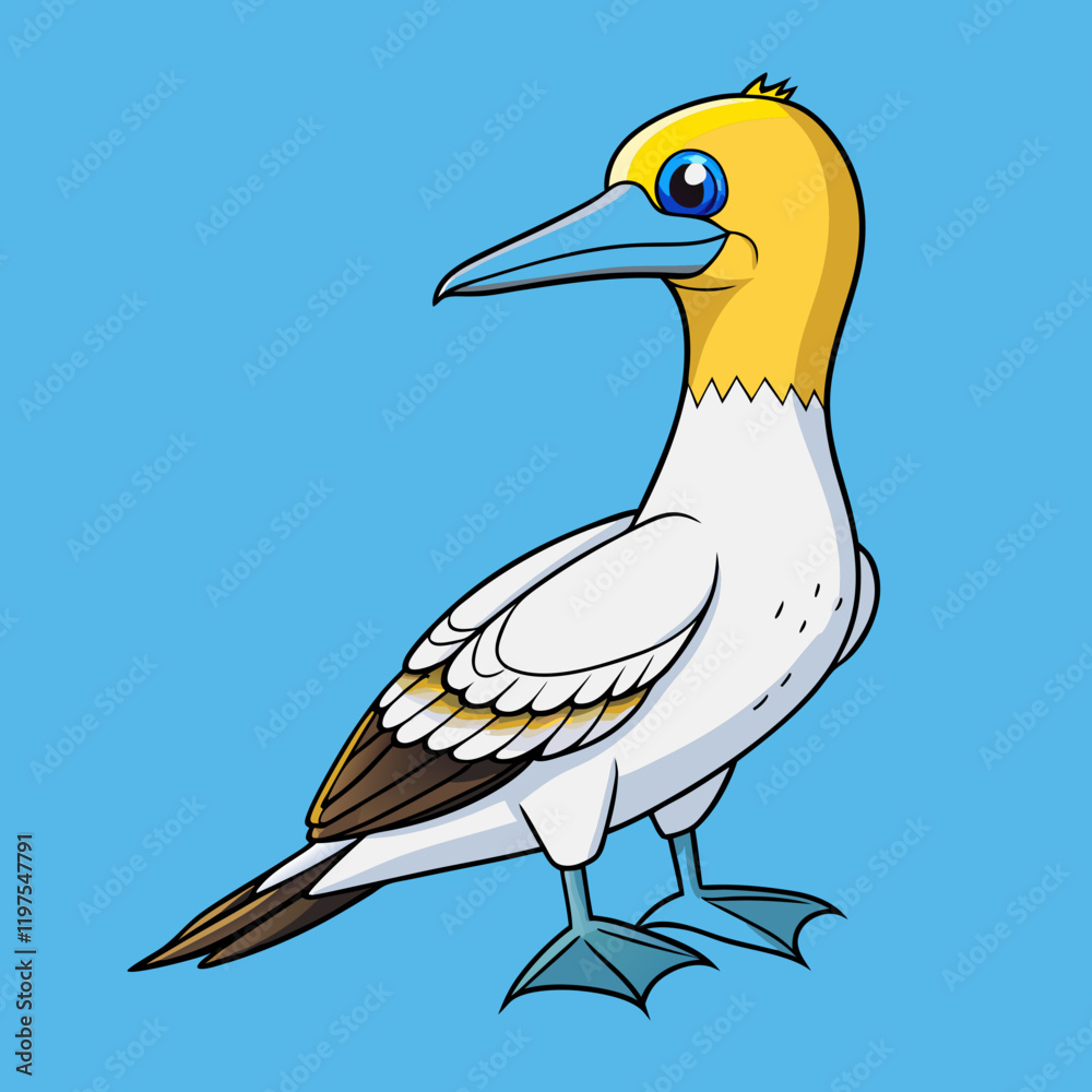 Obraz premium Northern gannet bird vector illustration