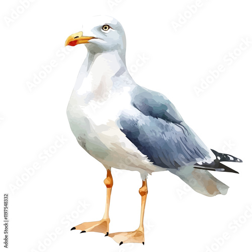 A watercolor drawing of a seagull, isolated on a white background. Seagull vector.
