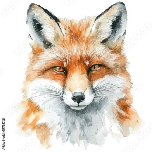 A watercolor drawing of a red fox, isolated on a white background. Red fox vector.
