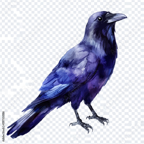 A watercolor drawing of a raven, isolated on a white background. Raven vector.
