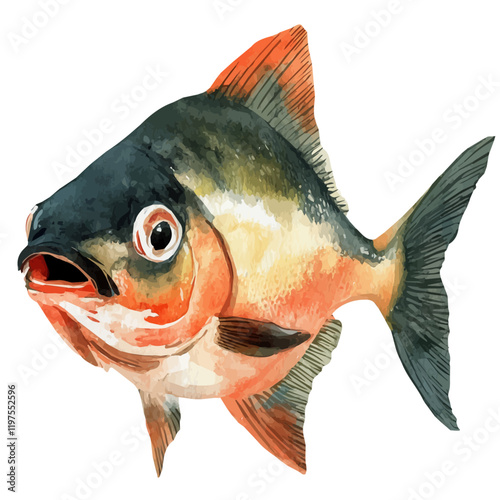 A watercolor painting of a piranha, isolated on a white background. Piranha vector.
