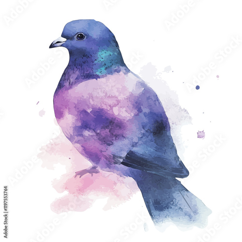 A watercolor drawing of a pigeon, isolated on a white background. Pigeon vector.
