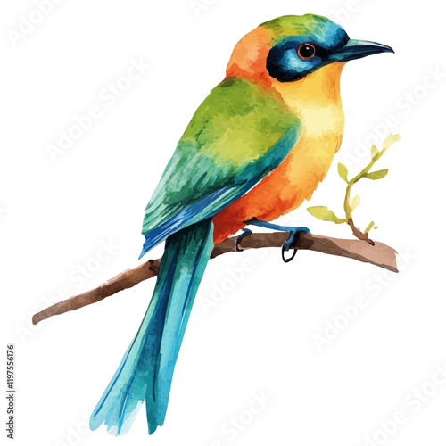 A watercolor of a Motmot bird, perched on a branch with vibrant colors, isolated on a white background. Motmot bird vector.
