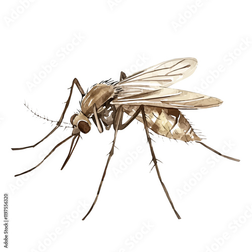 A watercolor painting of a mosquito hovering over a leaf, isolated on a white background. Mosquito vector.
