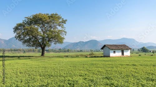 Solitude in the Valley:  A ...