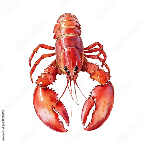 A watercolor drawing of a lobster, isolated on a white background. Lobster vector.
