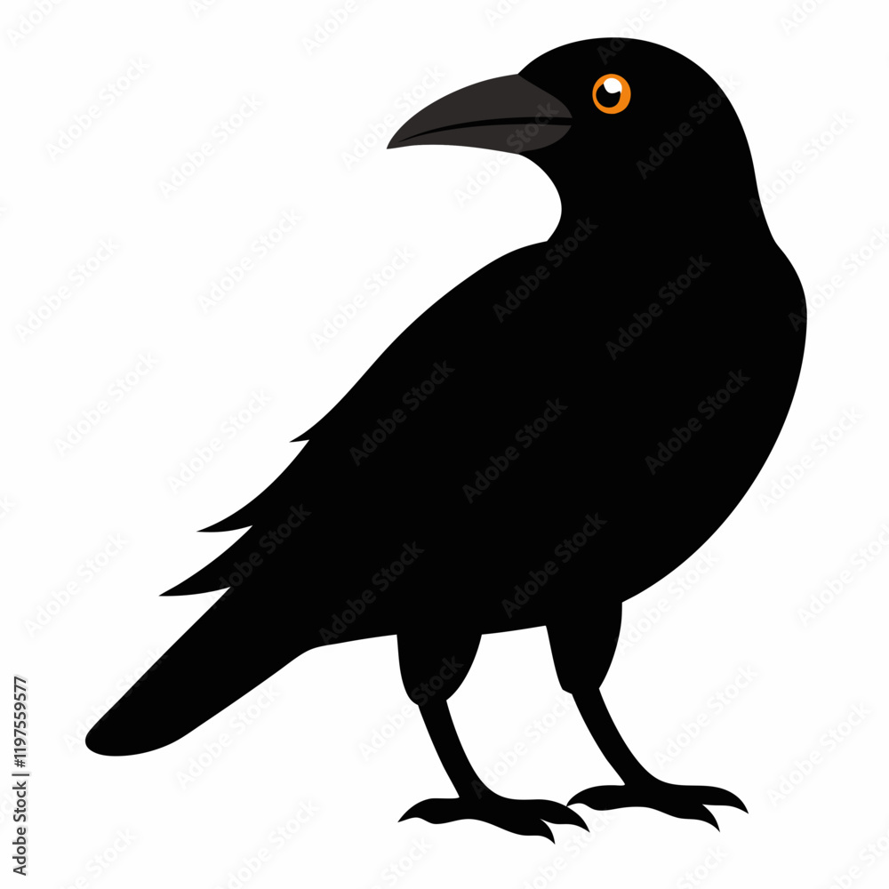 Fototapeta premium crow on white background