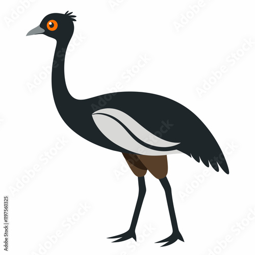 illustration of a emu