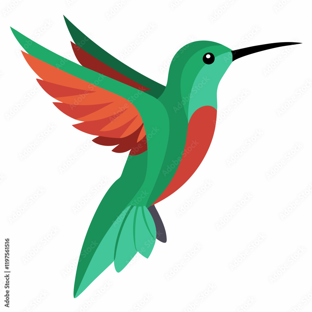 Fototapeta premium vector illustration of a hummingbird