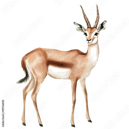 A watercolor of a gazelle, isolated on a white background. Gazelle vector.
