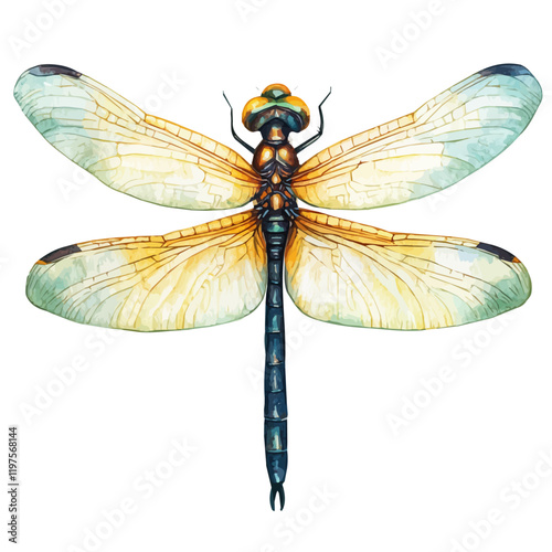 A watercolor clipart of a dragonfly, isolated on a white background. Dragonfly vector.
