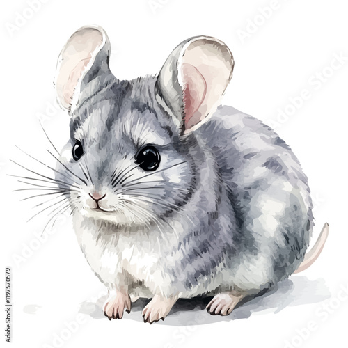 A watercolor drawing of a chinchilla, isolated on a white background. Chinchilla vector.
