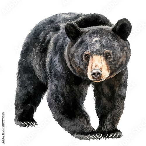 A watercolor clipart of a black bear, isolated on a white background. Black bear vector.
