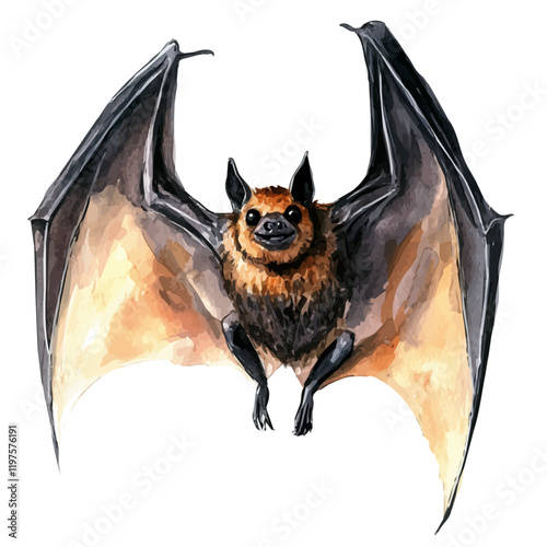 A watercolor illustration of a bat, isolated on a white background. Bat vector.
