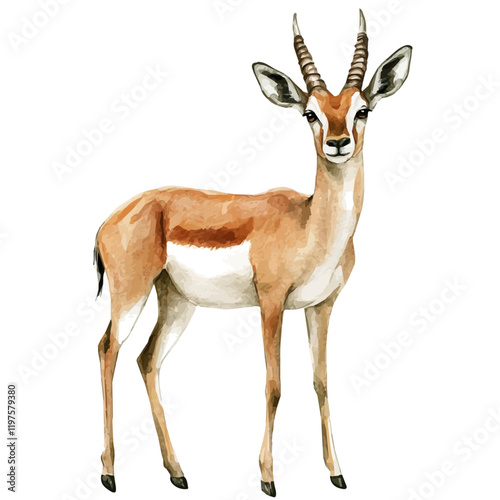 A watercolor drawing of an antelope, isolated on a white background. Antelope vector.
