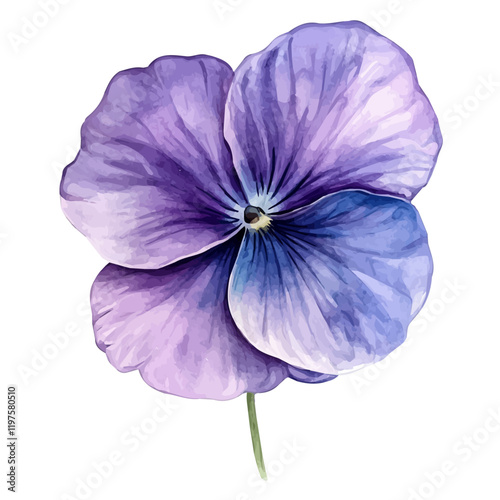 A watercolor vector of a violet flower, isolated on a white background. Violet flower vector.
