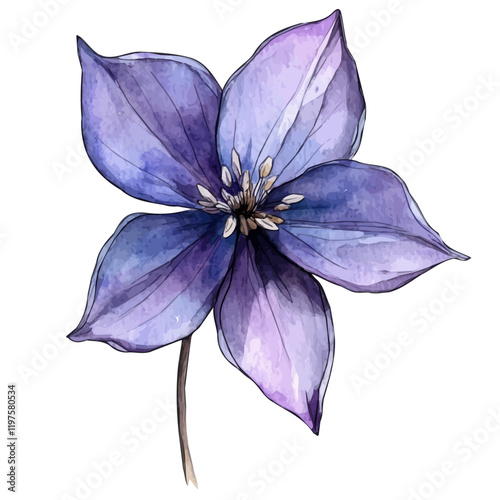 A watercolor vector of a violet flower, isolated on a white background. Violet flower vector.

