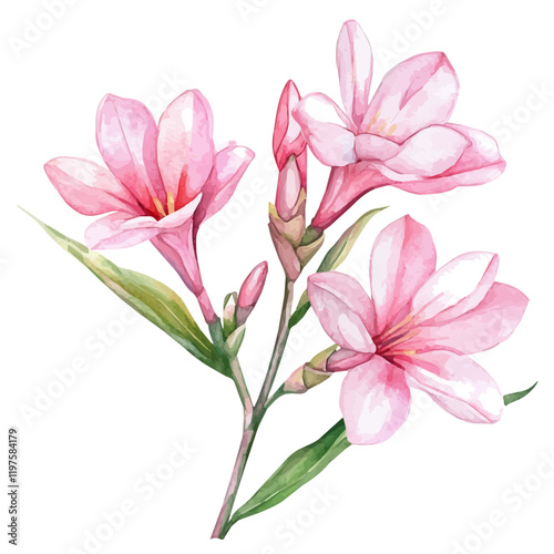 A watercolor vector of a tuberose flower, isolated on a white background. Tuberose flower vector.
