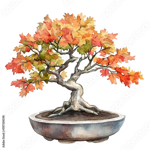 A watercolor of a trident maple bonsai, isolated on a white background. Trident maple bonsai vector.
