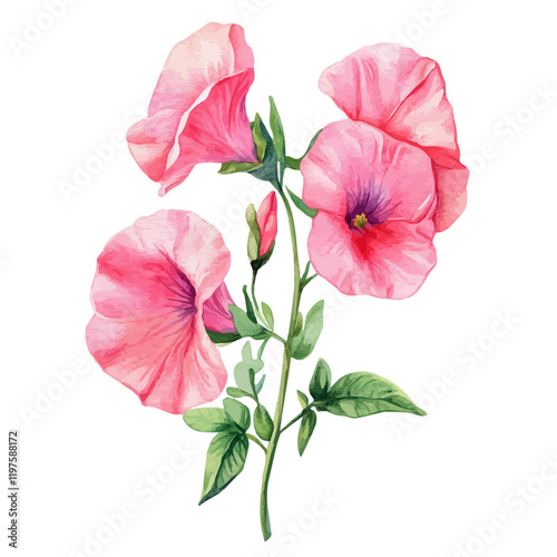 A watercolor painting of a sweet pea flower, isolated on a white background. Sweet pea flower vector.
