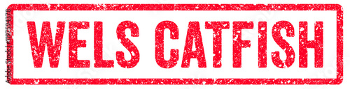 Wels Catfish Stamp Transparent Seal, Red Grunge Wels Catfish Word Rubber Stamp Seal