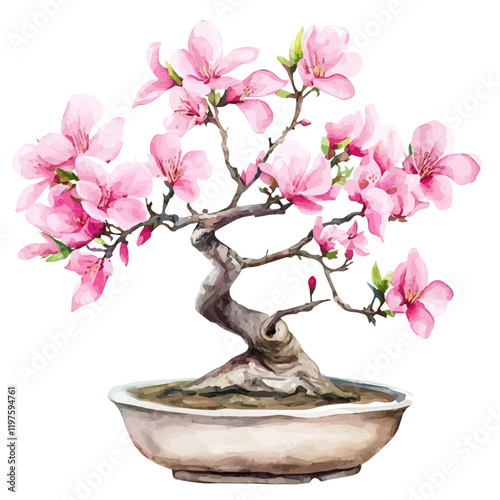 A watercolor of a silk floss tree bonsai, isolated on a white background. Silk floss tree bonsai vector.
