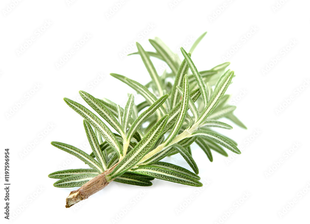 Fototapeta premium Generated image