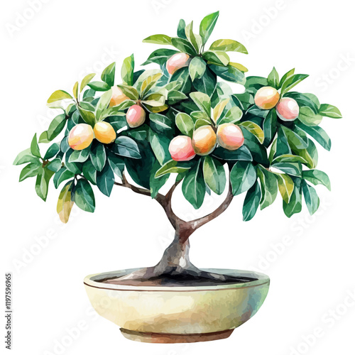 A watercolor of a sapodilla bonsai, isolated on a white background. Sapodilla bonsai vector.
