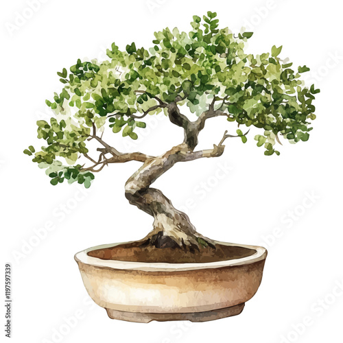 A watercolor painting of a sandalwood bonsai, isolated on a white background. Sandalwood bonsai vector.
