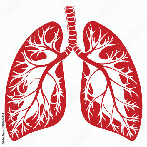 Human Lungs Anatomy Illustration - Respiratory System Diagram, Bronchial Tree, Alveoli Structure, Medical Science, Pulmonary Health