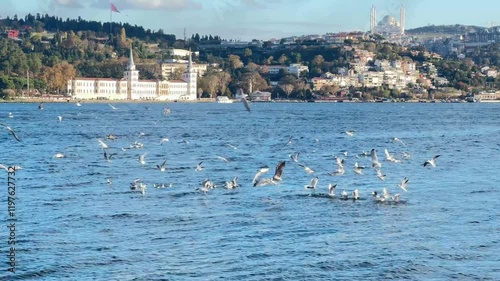 Seagulls in the Bosphorus from Arnavutköy pier in the Bosphorus photo