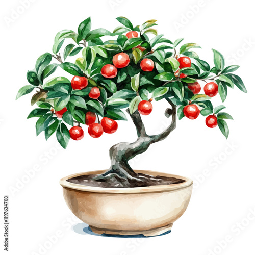 A watercolor drawing of a miracle fruit bonsai, isolated on a white background. Bonsai vector.
