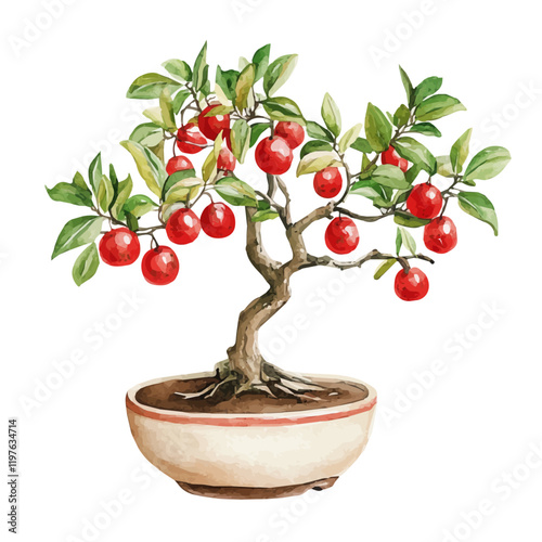 A watercolor drawing of a miracle fruit bonsai, isolated on a white background. Bonsai vector.
