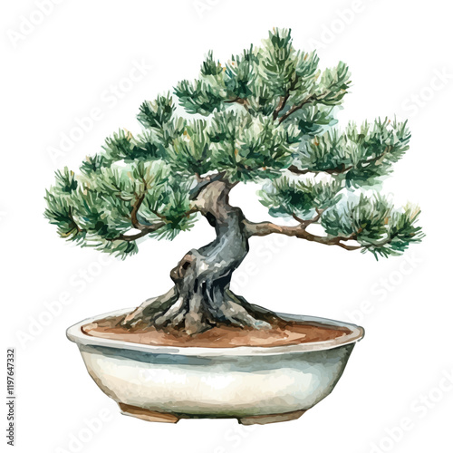 A watercolor illustration of a Korean dogwood bonsai, isolated on a white background. Bonsai vector.
