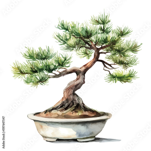 A watercolor of a Korean dogwood bonsai, isolated on a white background. Bonsai vector.
