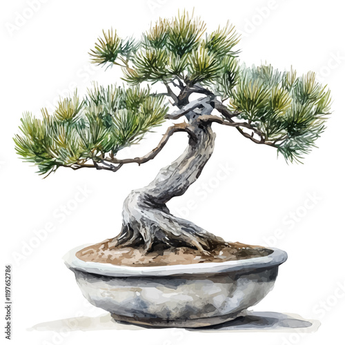 A watercolor illustration of an Italian stone pine bonsai, isolated on a white background. Bonsai vector.
