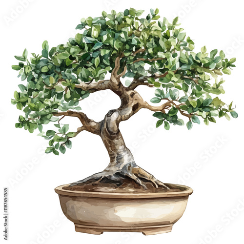 A watercolor painting of an Indian sandalwood bonsai, isolated on a white background. Indian sandalwood bonsai vector.
