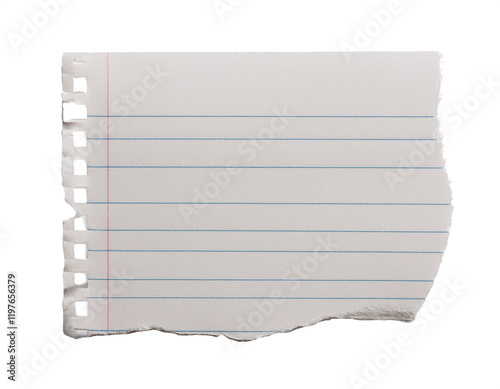 torn out piece of lined block sheet, isolated on white background, cutout